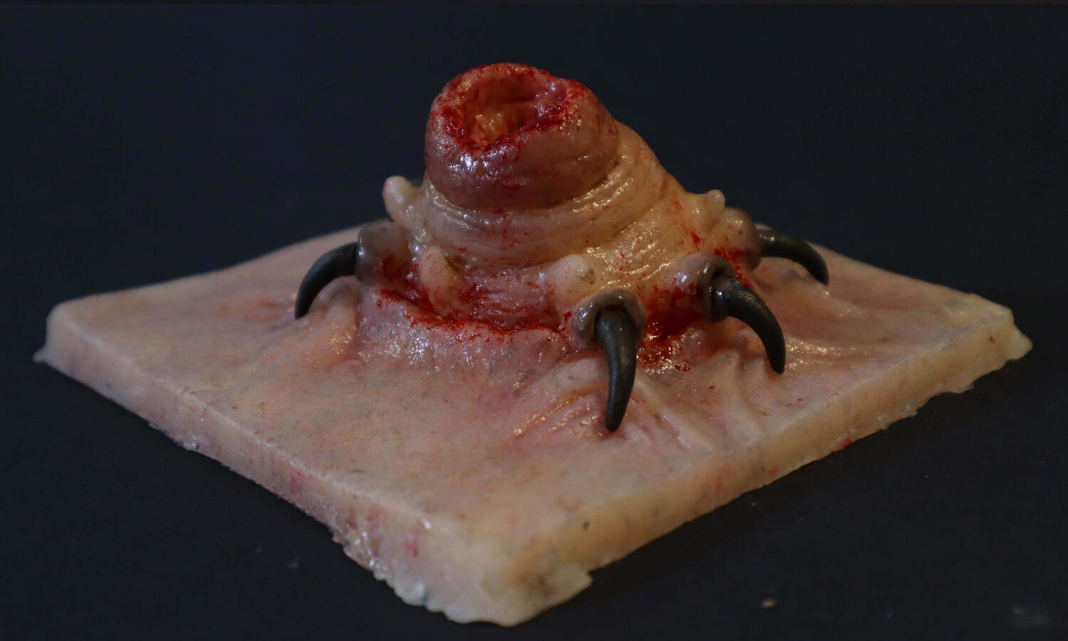 Silicone Creature Sculpt - A silicone cast sculpt of a parasite creature emerging from a piece of human skin. Sculpted in chavant clay, moulded in fibreglass, cast in Ecoflex 00-20 Silicone Rubber and painted with Ecoflex Psycho Paint.