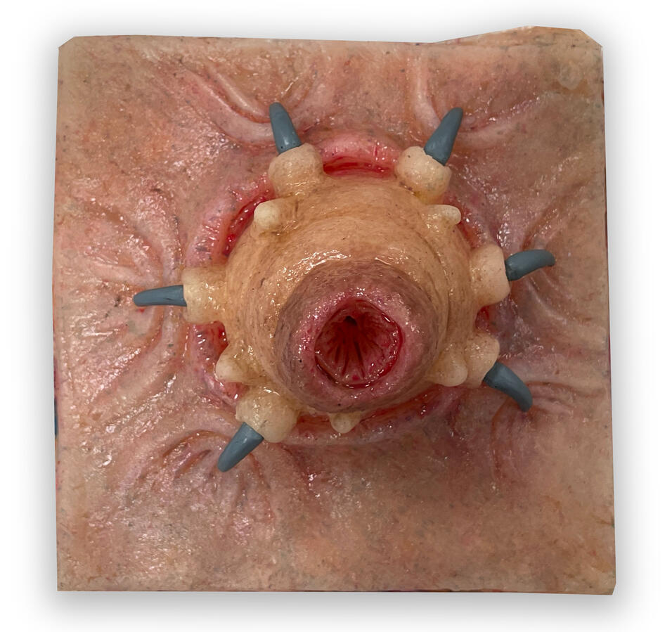 Creature & skin silicone cast painted with Psycho Paint silicone paint to resemble real human skin tones and organic creature skin textures