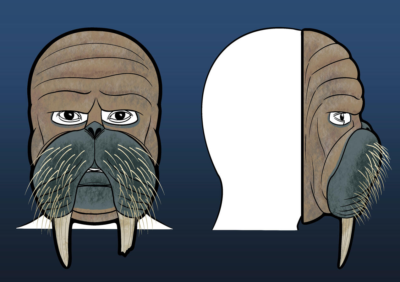 Initial concept design